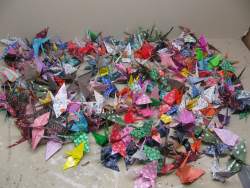 238 origami cranes
