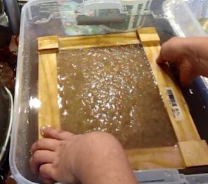 Dip the mold in paper pulp
