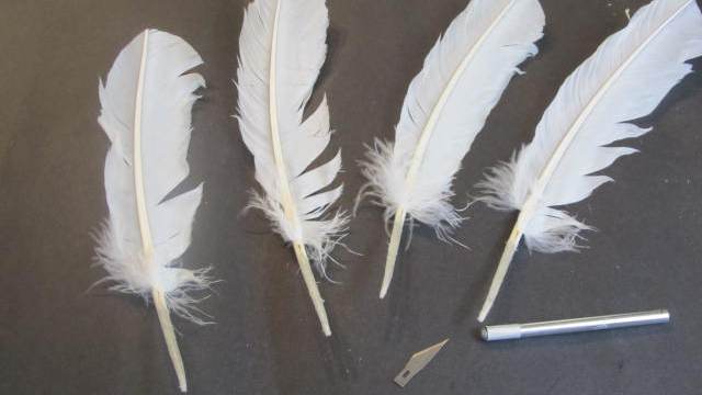 How to Make a Feather Quill Pen