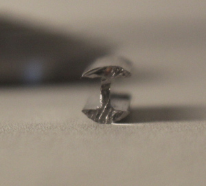 profile view of lead came