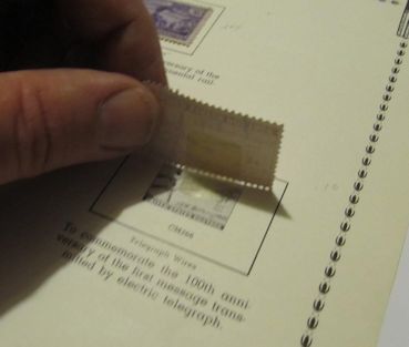 A hinged stamp in an album