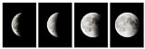 Modern Giclee Canvas Prints 4 piece stages of the moon 