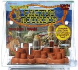 Wild West Cactus Roundup Terrarium