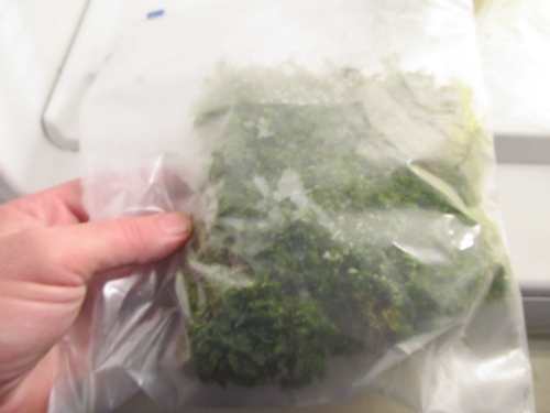 Bag of frozen moss