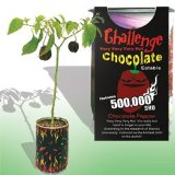 Magic Plant chocolate pepper
