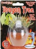Dragon Tree Micro Terrarium