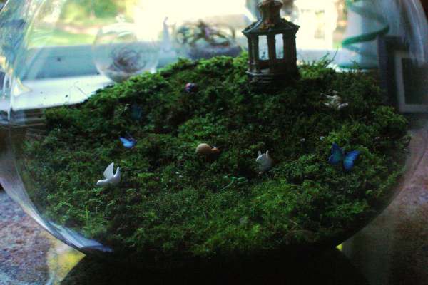 moss terrarium with miniatures
