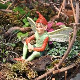 Miniature Fairy