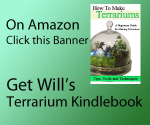 How can I get rid of mold growing in my mini moss terrarium soil? :  r/terrariums